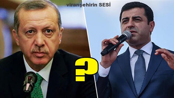 VİRANŞEHİR’DE CUMHURBAŞKANLIĞI KESİN SONUÇLARI